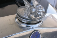 Hood Ornament