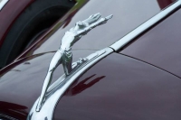 Hood Ornament