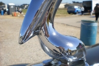 Hood Ornament
