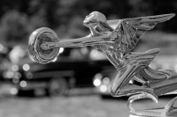 Packard Hood Ornament