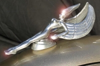 hood-ornaments-1WL003-2