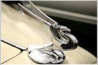 hood-ornaments-2041781544_28d55a80c3