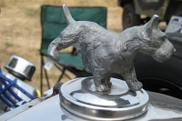 hood-ornaments-2625681261_25b28c3225_b