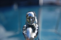 hood-ornaments-2918071488_90d595027d