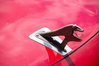 hood-ornaments-4275-1