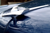 hood-ornaments-442457370_29071e669f_z