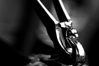 hood-ornaments-5145325322_1e4970977a_b