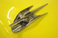 hood-ornaments-5521542_f520