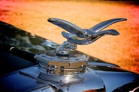 hood-ornaments-5598975405_0ee08c134c_o