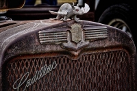 hood-ornaments-6357240221_2194c1054c_z