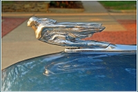 hood-ornaments-8181128369_80a340a7f1_z