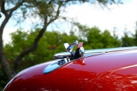 hood-ornaments-Classic-Car-1953-Buick-Skylark-Hood-Ornament