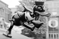 hood-ornaments-Crazy_Duck2