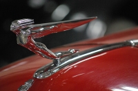 hood-ornaments-DSC_8644