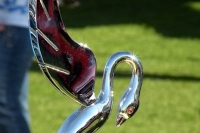 hood-ornaments-Justacarguy_hood5