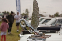 hood-ornaments-PackardsWAN