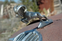 hood-ornaments-Pictures_Bruce_Colbert_(14)
