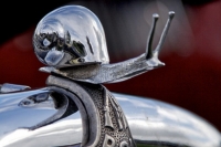 hood-ornaments-Schecke