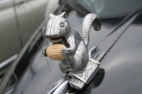 hood-ornaments-Squirrel_Hood_Ornament_by_defranklinstubbs