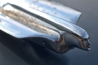 hood-ornaments-__cadillac_hood_ornament