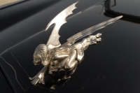 hood-ornaments-elviras-spooky-58-thunderbird_elvira-hood-ornament_03