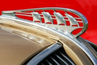hood-ornaments-flat,550x550,075,f_(4)