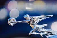 hood-ornaments-flat,800x800,070,f