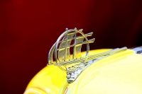 hood-ornaments-fliheofvj