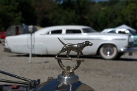hood-ornaments-fordratpointer