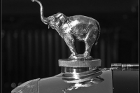hood-ornaments-hood-ornaments-06-19-201404