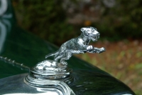 hood-ornaments-hooddog