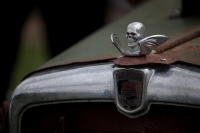 hood-ornaments-hot-rod-hood-ornament-charlotte-moss
