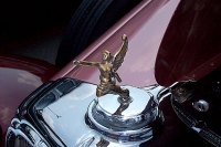 hood-ornaments-kikikik