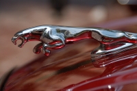 hood-ornaments-kjlnbfc
