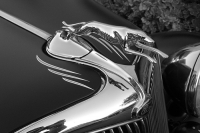 hood-ornaments-ornament2