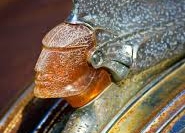 hood-ornaments-pontiacold