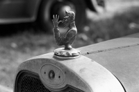 hood-ornaments-public-domain-hood-ornament-p
