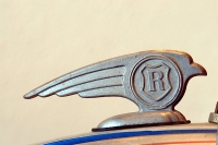 hood-ornaments-rabfenderbirdl