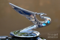 hood-ornaments-radiator-cap-vintage-chevy-hood-ornament-clare-vanderveen