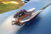 hood-ornaments-rathoodornament