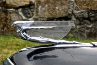 hood-ornaments-sleek_ornament