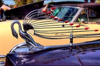 hood-ornaments-unique_packard_hood