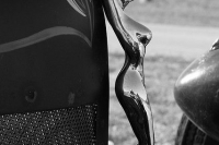 Rat Rod Details