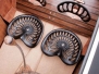 Rat Rod Interiors