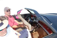 Shift Knobs and Shift Handles