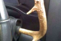 Shift Knobs and Shift Handles