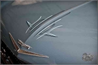 Pinstripes and Paint