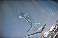 Pinstripes and Paint
