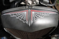 Pinstripes and Paint