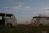 VW_Volkswagen_Volksrods_Bugs_and_Beetles_1103